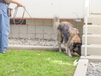 DSC 0469