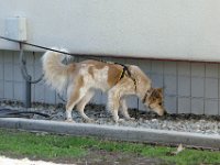 DSC 0489