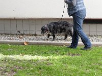 DSC 0500