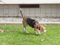 DSC 0553