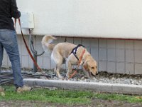 DSC 0580