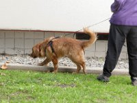DSC 0608