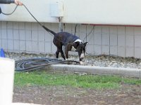 DSC 0615