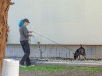 DSC 0624