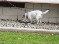 DSC 0658