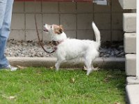 DSC 0663