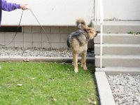 DSC 0696