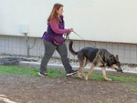 DSC 0705