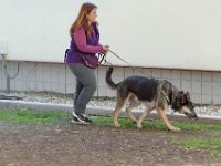 DSC 0706