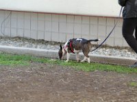 DSC 0746