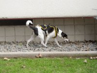 DSC 0760