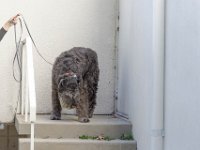 DSC 0797