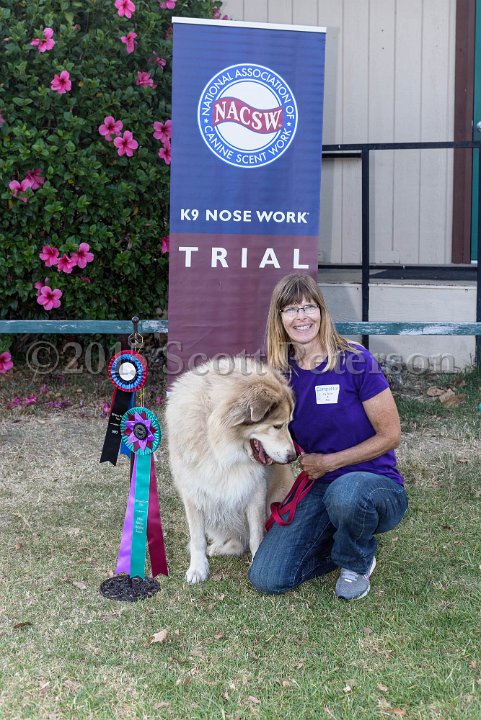 DSC 2182 DxO