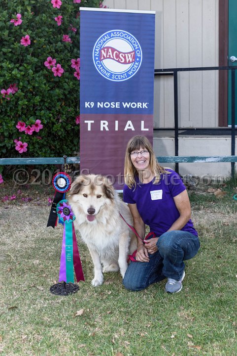 DSC 2183 DxO