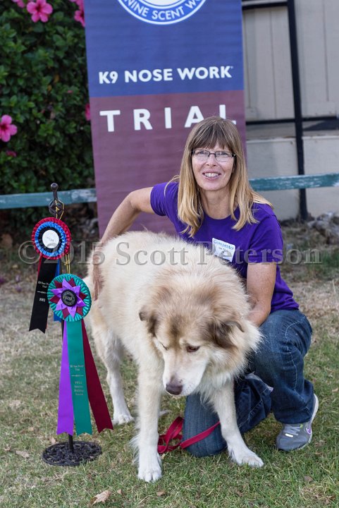 DSC 2189 DxO