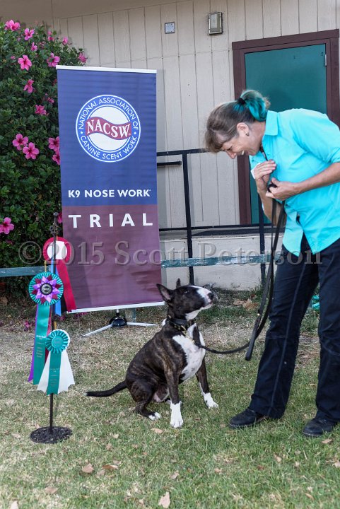 DSC 2218 DxO