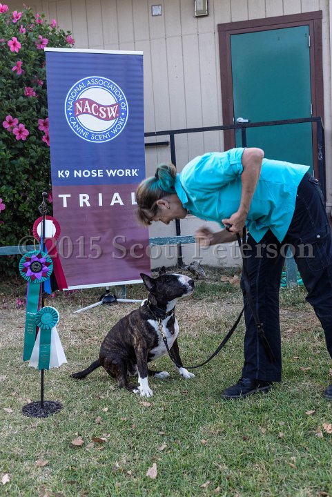DSC 2220 DxO