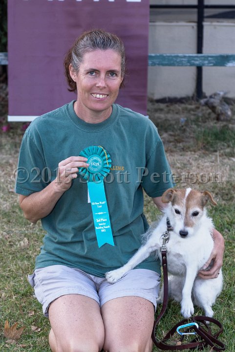 DSC 2228 DxO