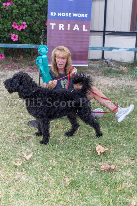 DSC 2250 DxO