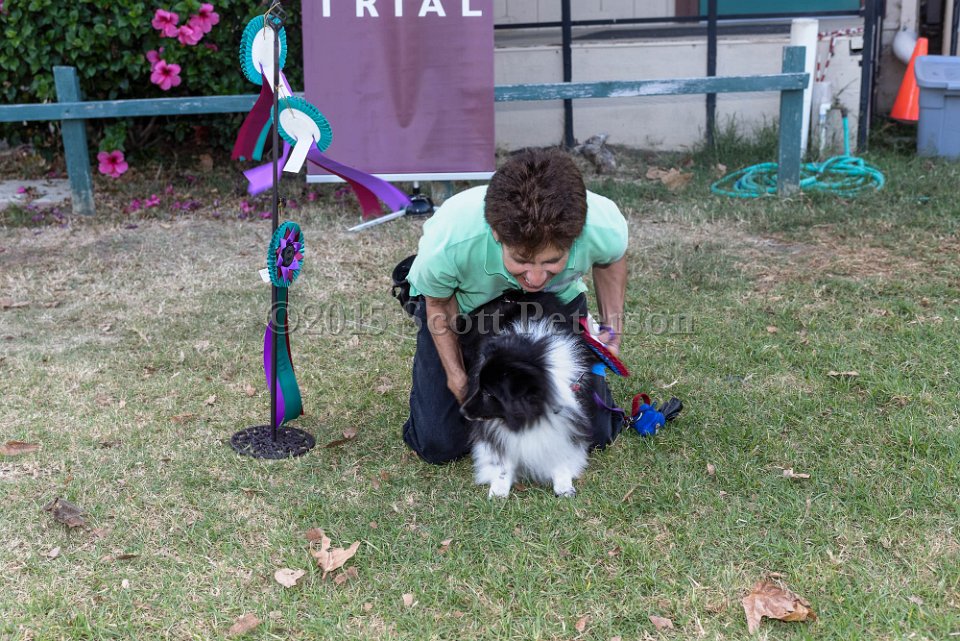 DSC 2275 DxO