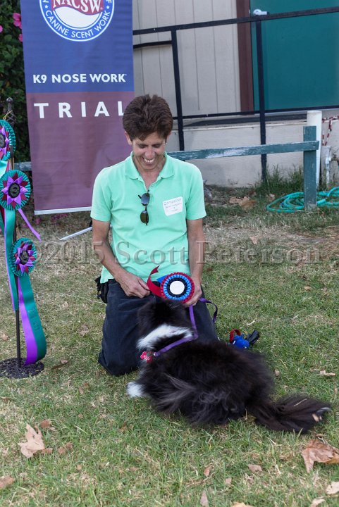 DSC 2277 DxO