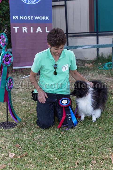 DSC 2280 DxO