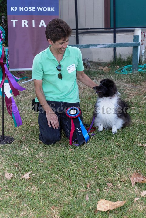 DSC 2282 DxO