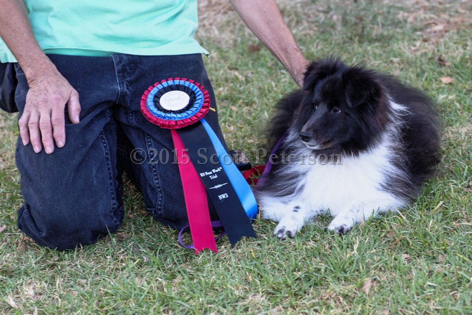 DSC 2287 DxO
