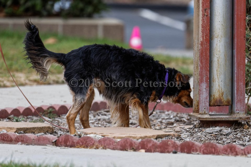 DSC 1020 DxO