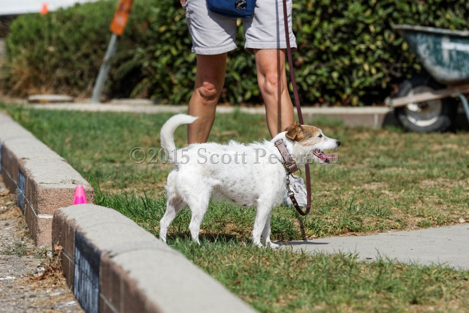 DSC 1108 DxO