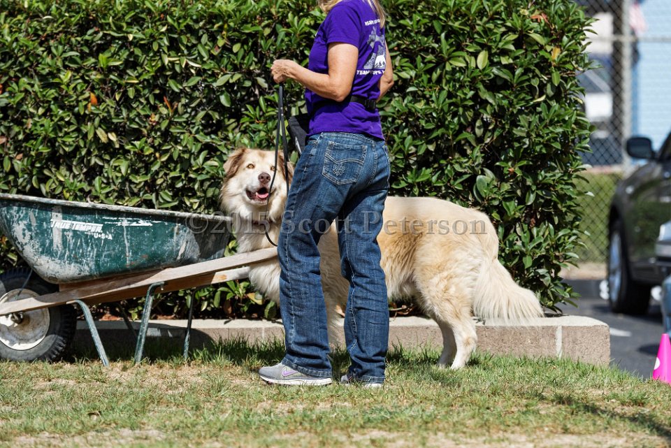 DSC 1115 DxO