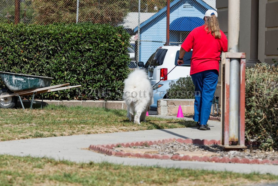 DSC 1118 DxO
