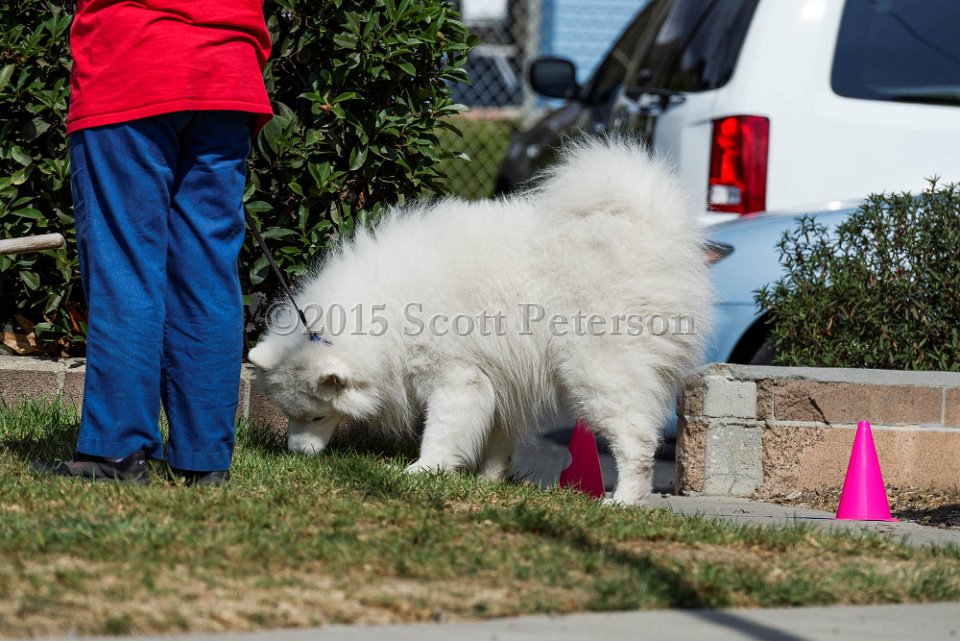 DSC 1119 DxO