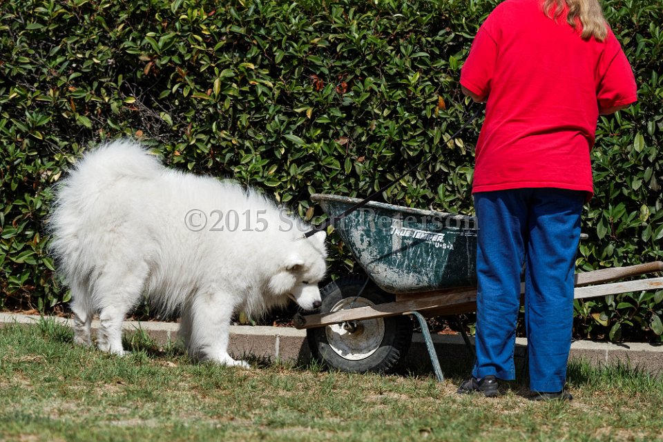 DSC 1120 DxO
