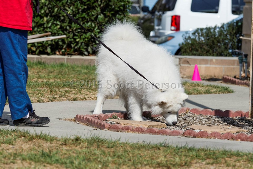 DSC 1125 DxO