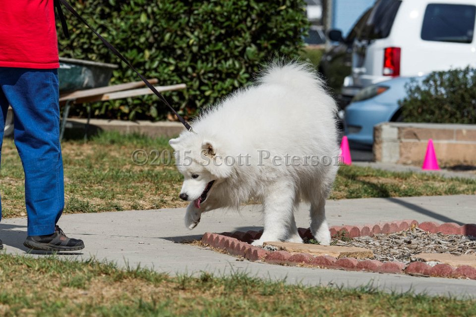 DSC 1126 DxO