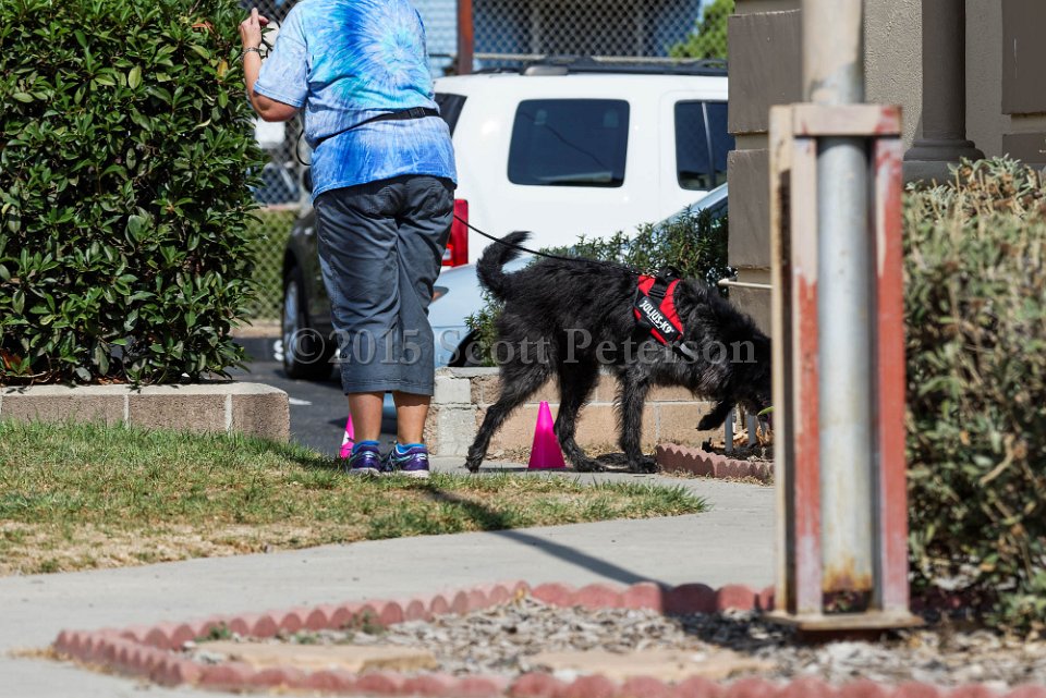 DSC 1128 DxO