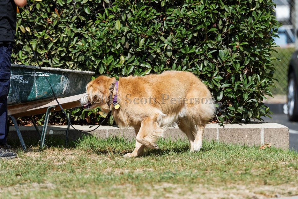DSC 1152 DxO
