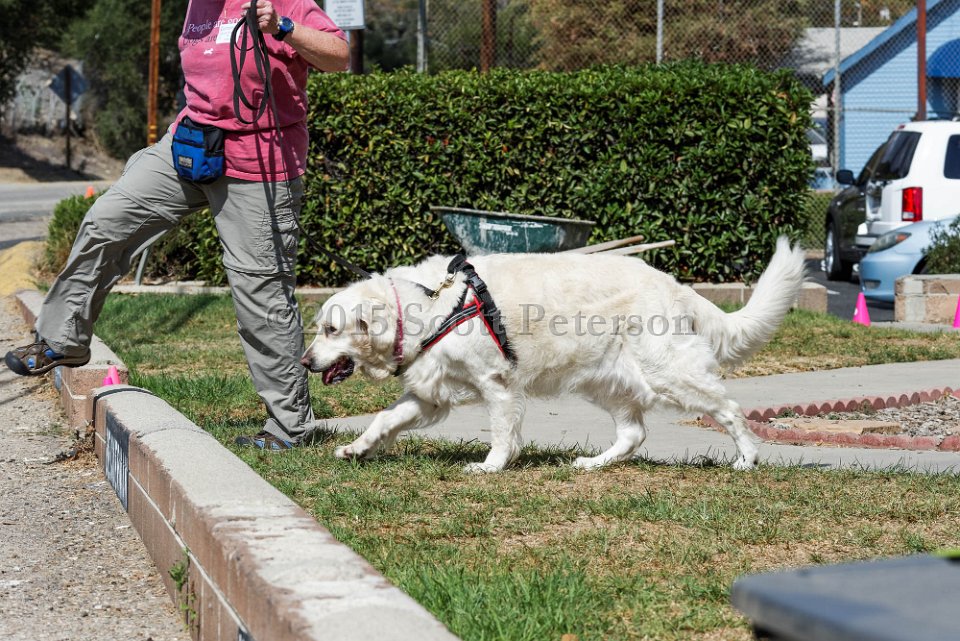 DSC 1170 DxO