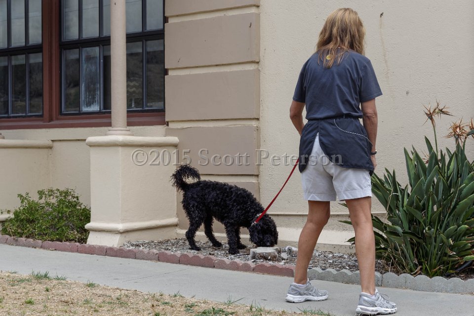 DSC 2108 DxO