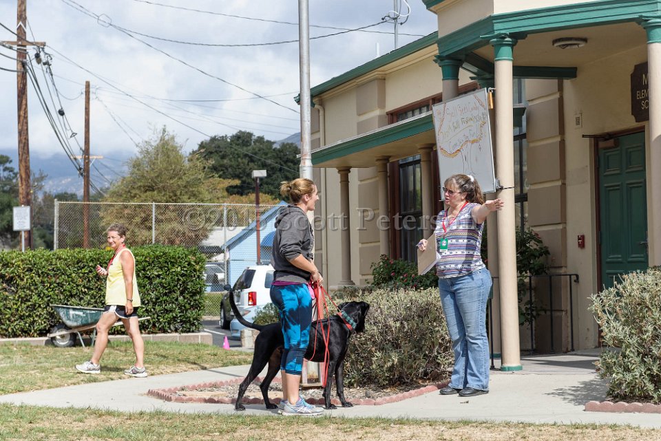 DSC 2136 DxO