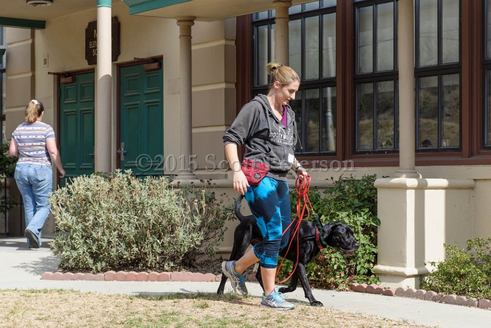 DSC 2137 DxO
