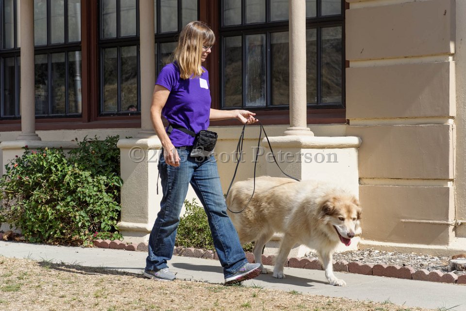 DSC 2142 DxO