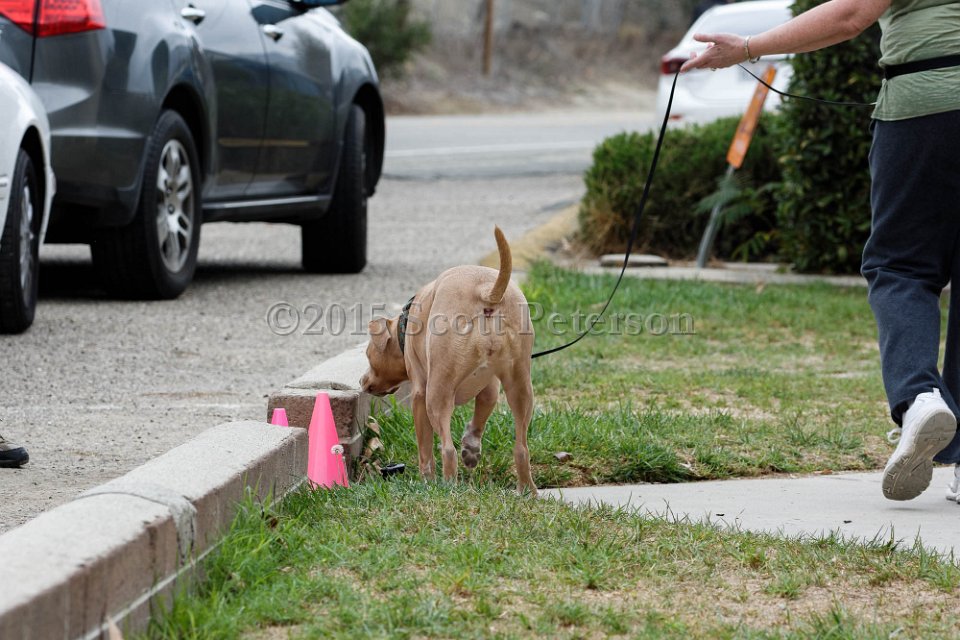 DSC 8397 DxO