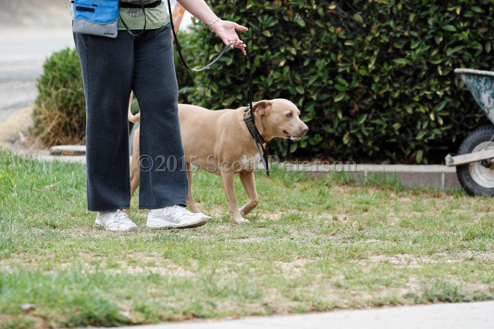 DSC 8398 DxO