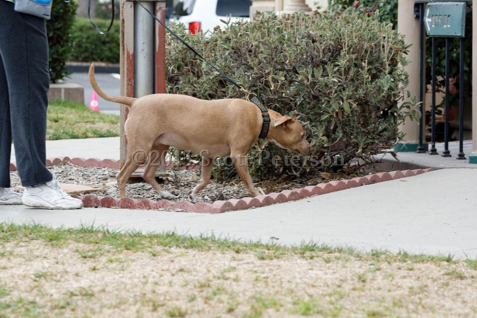 DSC 8399 DxO
