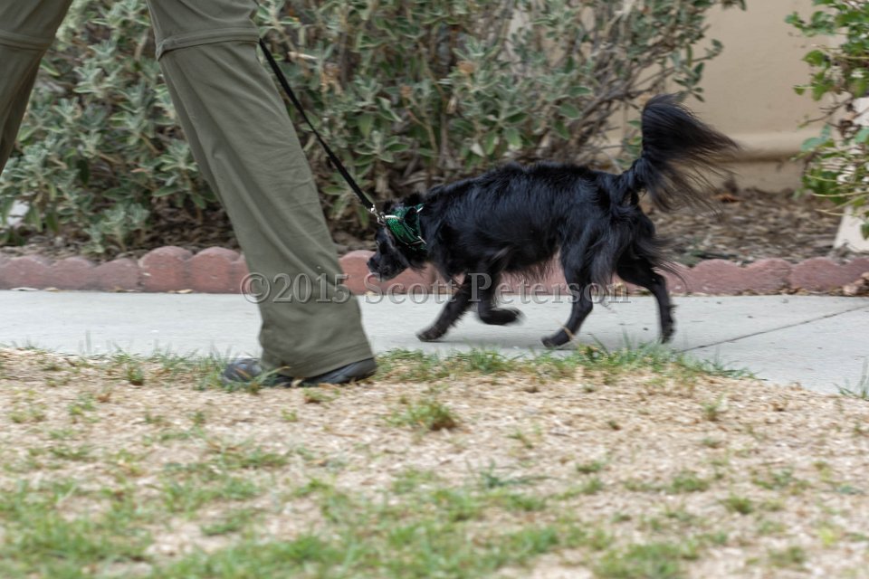 DSC 8403 DxO