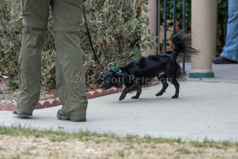 DSC 8404 DxO