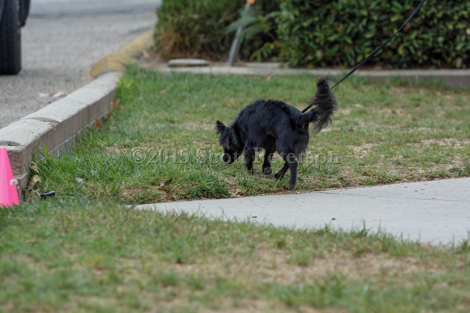 DSC 8405 DxO