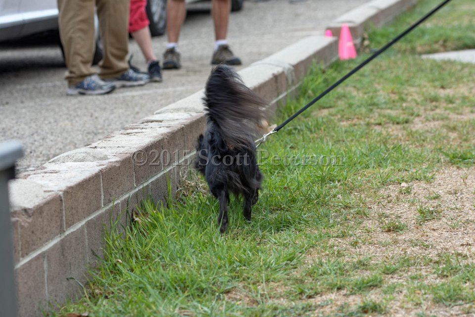 DSC 8406 DxO